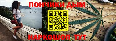 гашик Гатчина
